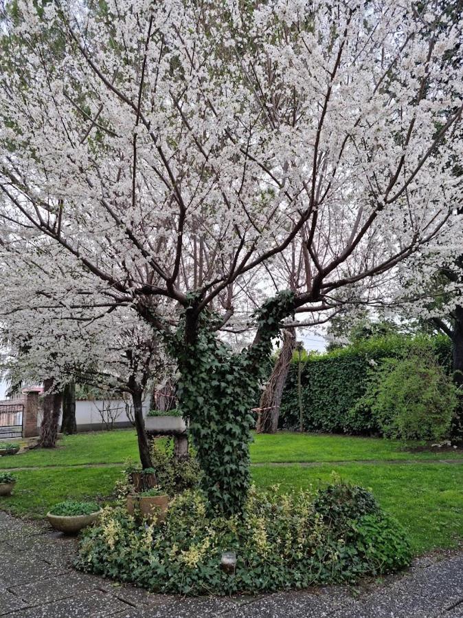 La Casa Di Gim Apartment ลูโก ภายนอก รูปภาพ